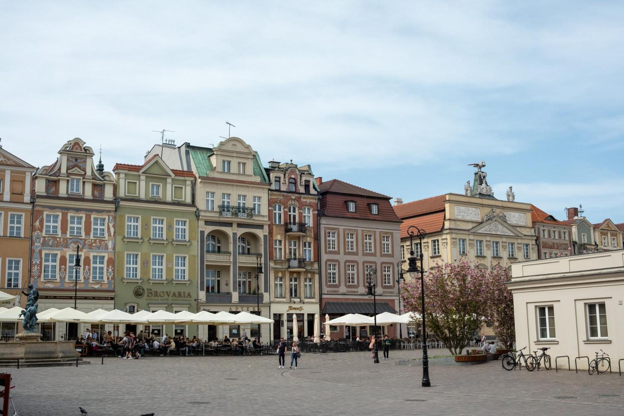 Apartamenty Drevny Kocur Poznań Buitenkant foto